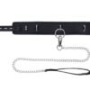 EDGE COLLAR & LEASH