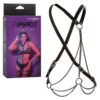 EUPHORIA MULTI CHAIN HARNESS