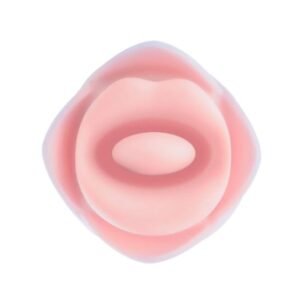 BLUSH KISSING ROSE PINK