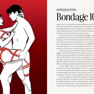 BONDAGE PLAYBOOK (NET)