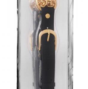 MASTER SERIES PENITENTIARY NIPPLE CLAMPS & COCK RING SET GOLD