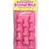 SUPER FUN SILICONE MOLD