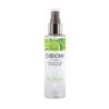 COOCHY BODY MIST KEY LIME PIE 4 OZ