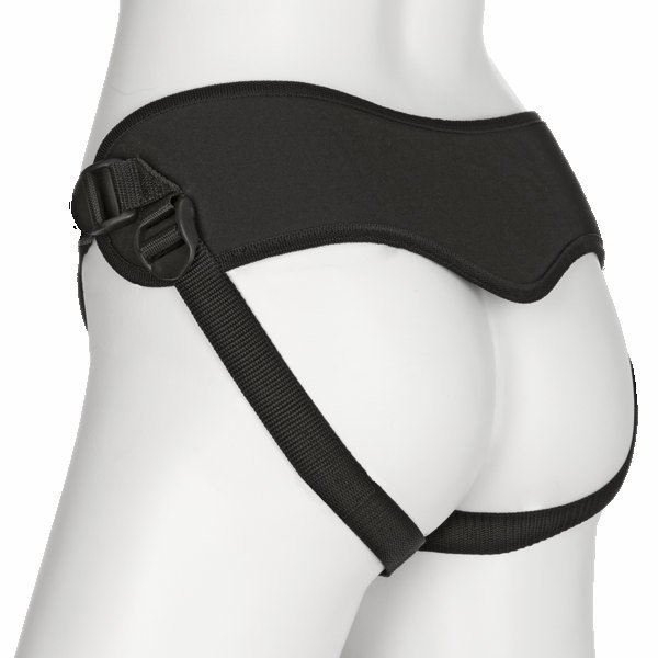 DJ109011BulkModelBack