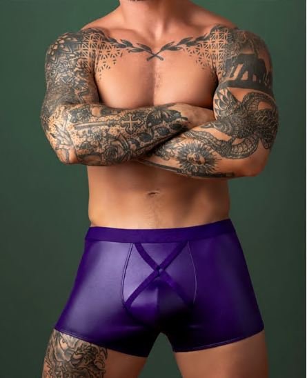 EGGPLANTSHT2