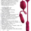 EVOLVED WILD ROSE