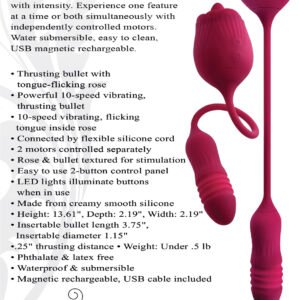 EVOLVED WILD ROSE