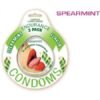 ENDURANCE FLAVORED 3PK CONDOMS-SPEARMINT