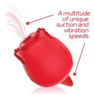 WILD ROSE & TOUNGE RECHARGEABLE