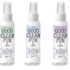 GOOD CLEAN FUN CLEANER 18 PC DISPLAY