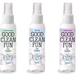 GOOD CLEAN FUN CLEANER 18 PC DISPLAY