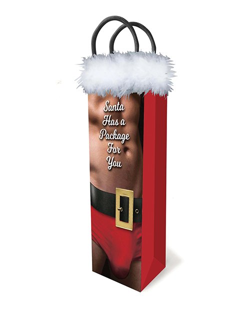 LITLGP025santahasgotabigpackageforyoured