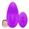 IN A BAG CLIT PULSATOR WITH REMOTE