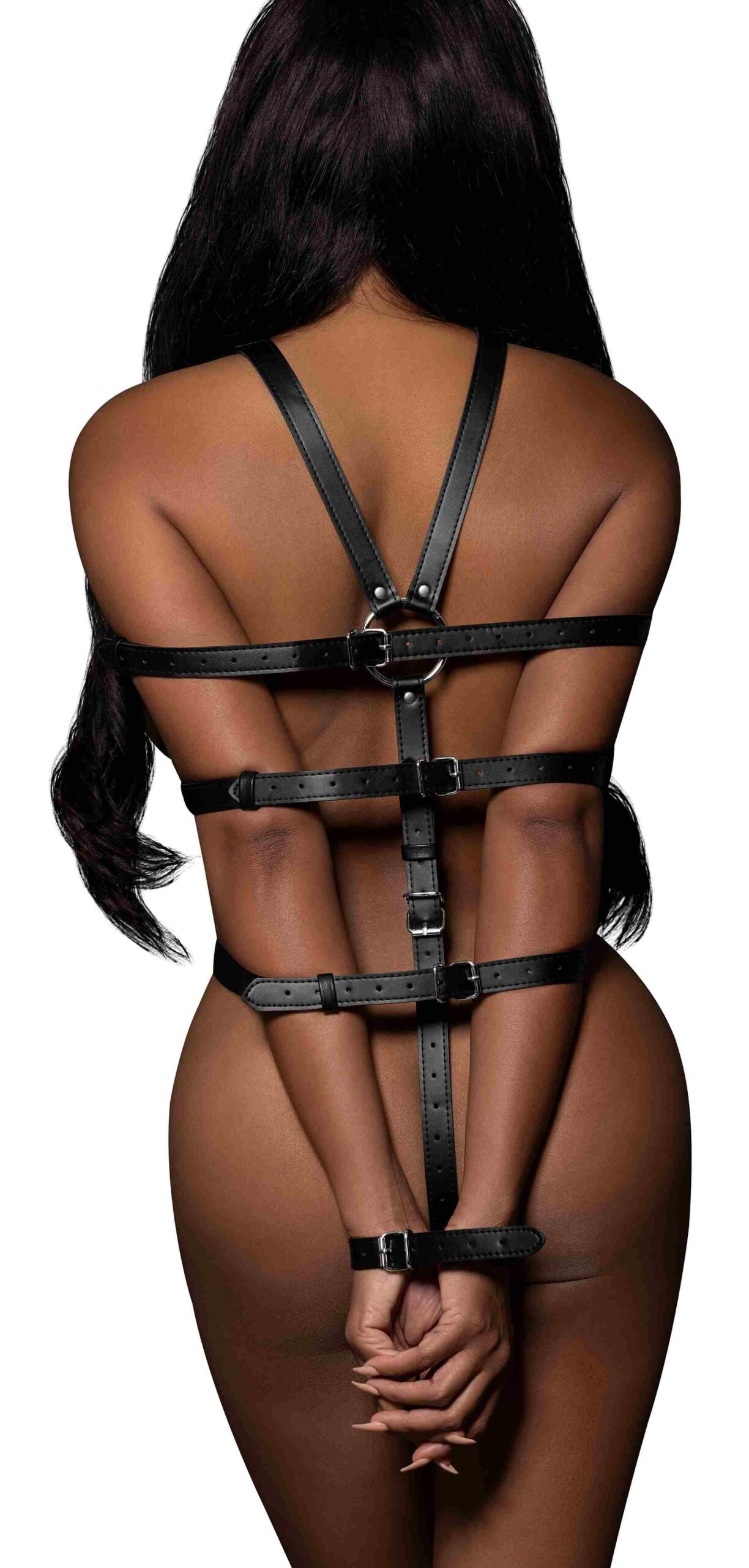 MP950366BKellonaharnessrestraints7