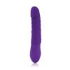 INYA TWISTER PURPLE VIBRATING DILDO