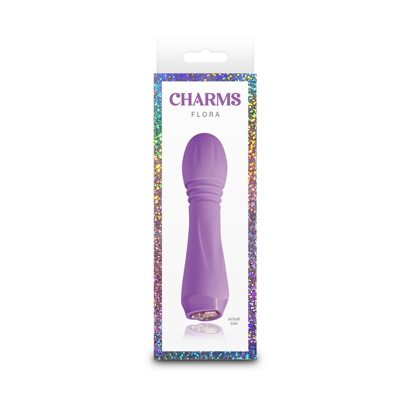 NSN021815charmsvioletvibratorpackage