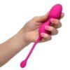 REMOTE DUAL MOTOR KEGEL SYSTEM