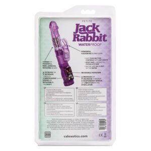 PETITE JACK RABBIT PURPLE