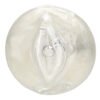 (BULK) BASIC ESSENTIALS PUSSY