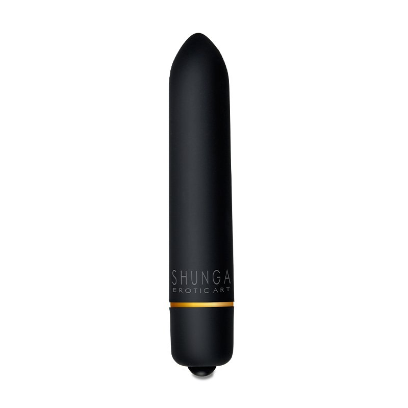SH8269shunganaughtygeishagiftset6
