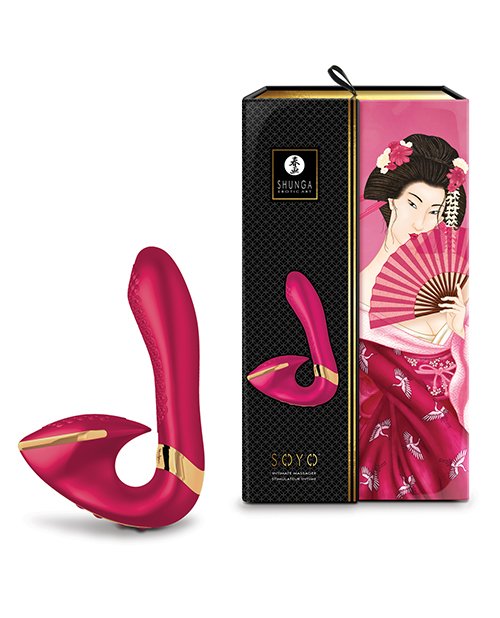 SHSOYO401shungasoyoraspberryvibrator4