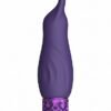 ROYAL GEMS SPARKLE PURPLE RECHARGEABLE SILICONE BULLET