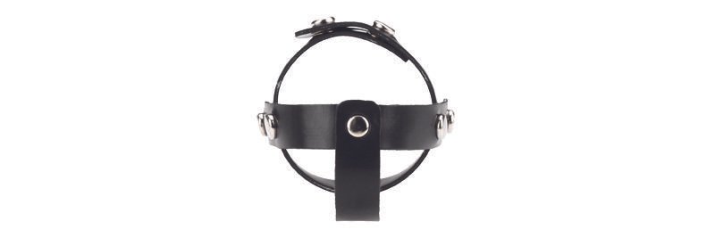 SPRUB13rubbertring2