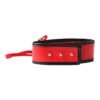 SEX & MISCHIEF RED LEASH & COLLAR