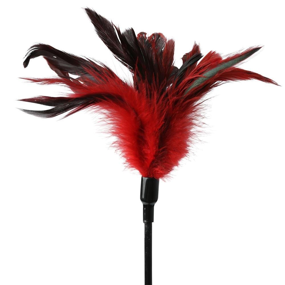 SS10062sexmischieffeatherslapper3