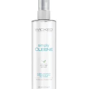 WICKED SIMPLY CLEENE 4 OZ TOY CLEANER