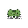 BEST BUDS PIN (NET)