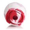 BLOOMGASM THE ROSE LOVERS GIFT BOX SWIRL