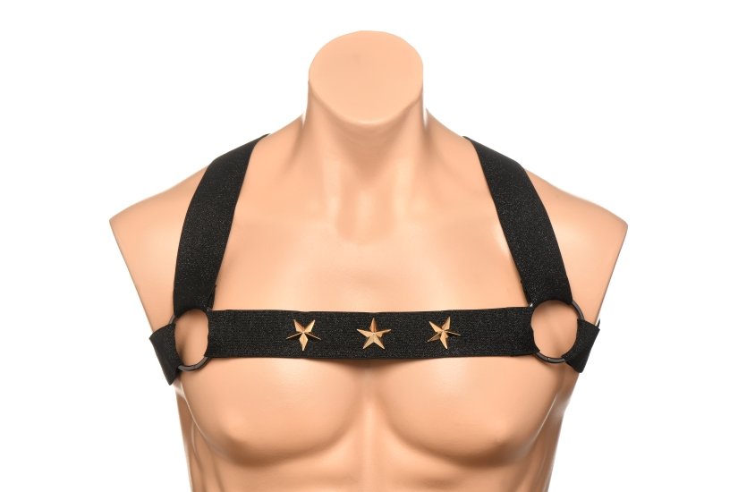 XRAH332LXLstarboybodyharnesswarmbands5