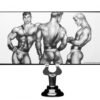 TOM OF FINLAND ANAL PLUG MEDIUM SILICONE