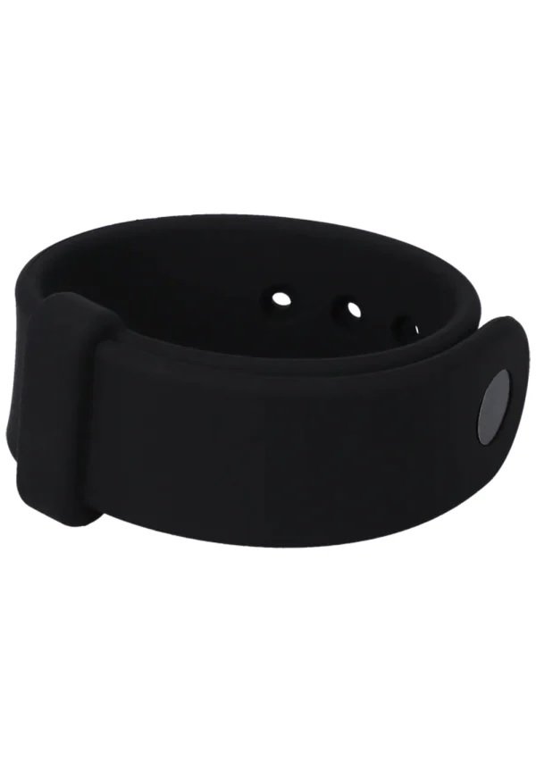 belt-2