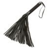 NOCTURNAL FLOGGER