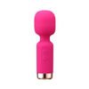 PINK PUSSYCAT ROCKET WAND
