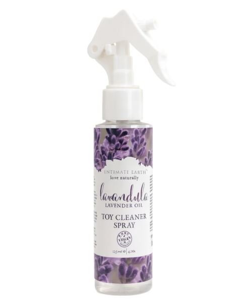 lavandula