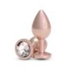REAR ASSETS IRIDESCENT CHAMPAGNE MEDIUM CLEAR