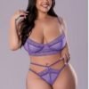 MAGIC SILK SHEER PASSION DEMI BRA & HIGH CUT TANGA VERY PERI