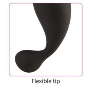 CLOUD 9 HEALTH & WELLNESS PROSTATE STIMULATOR W/FLEXIBLE NECK