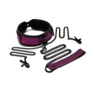 DRAGONS LAIR COLLAR LEASH NIPPLE CLIP