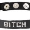 SM COLLAR-BITCH