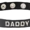 SM COLLAR-DADDY